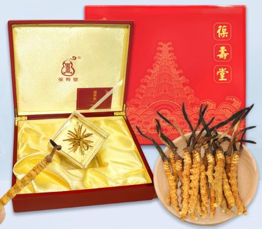 2025冬虫夏草哪个牌子好一点?冬虫夏草十强品牌入围名单公布这款品质更放心(图8)