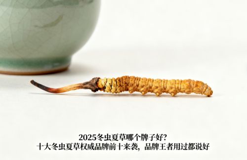 2025冬虫夏草哪个牌子好？十大冬虫夏草权威品牌推荐来袭品牌王者用过都说好(图1)
