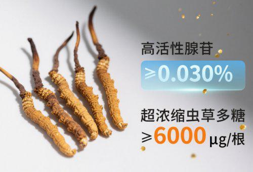 2025冬虫夏草哪个牌子好？十大冬虫夏草权威品牌推荐来袭品牌王者用过都说好(图4)