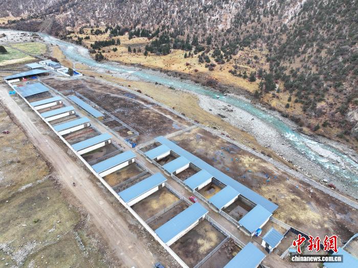 西藏工布江达养鹿基地蹚出致富新“鹿”径2025年存栏将到达1000只(图2)