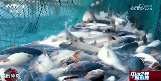 “梨树模式”让黑土地可持续发展(图1)