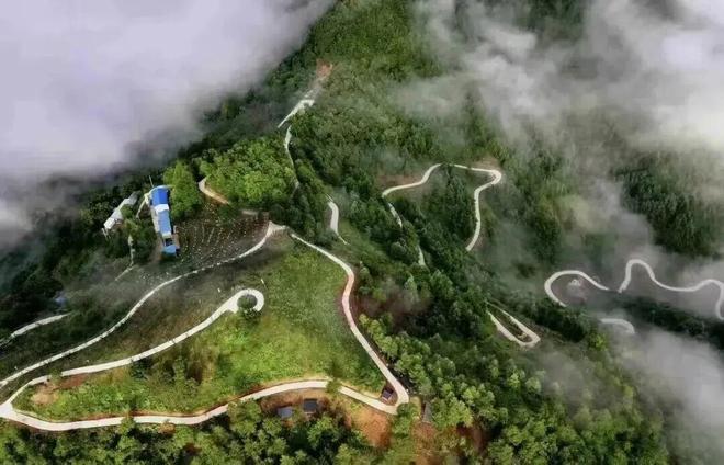 秦岭深处的有机答卷：甘肃陇南两当县“全域有机”发展的破局与前景(图1)