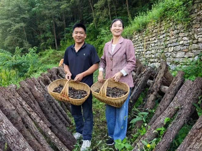 秦岭深处的有机答卷：甘肃陇南两当县“全域有机”发展的破局与前景(图7)