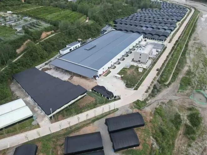 秦岭深处的有机答卷：甘肃陇南两当县“全域有机”发展的破局与前景(图4)