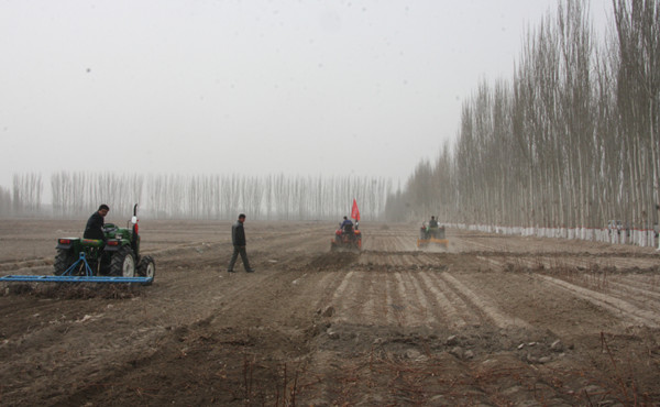 新疆维吾尔自治区农业厅：自治区2014年南疆春季田管暨春耕备耕现场经验交流会在阿克苏市举行(图2)