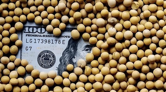 为大豆放低身段美国公开表示：若中国需要大豆希望先找美国(图22)