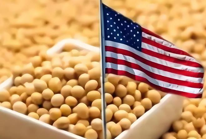 为大豆放低身段美国公开表示：若中国需要大豆希望先找美国(图21)