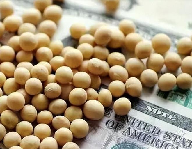 为大豆放低身段美国公开表示：若中国需要大豆希望先找美国(图4)