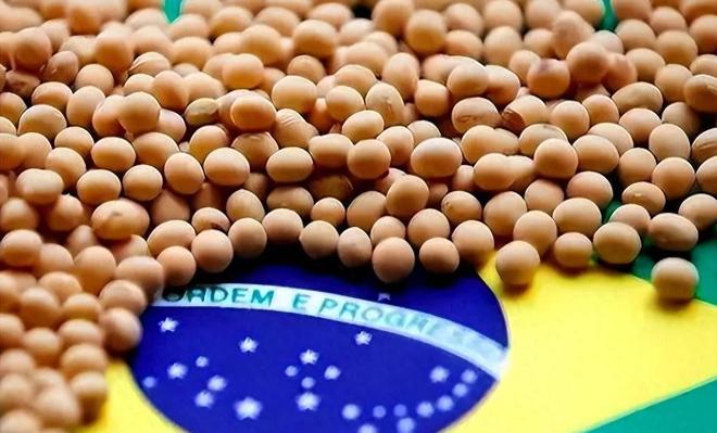 为大豆放低身段美国公开表示：若中国需要大豆希望先找美国(图9)