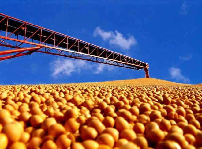 为大豆放低身段美国公开表示：若中国需要大豆希望先找美国(图1)