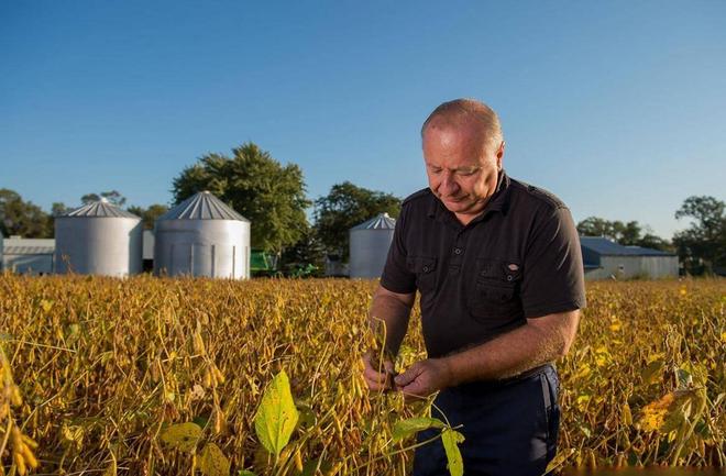 为大豆放低身段美国公开表示：若中国需要大豆希望先找美国(图5)