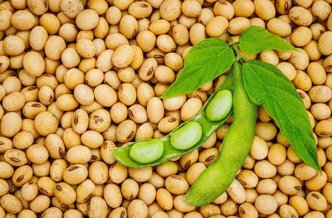 为大豆放低身段美国公开表示：若中国需要大豆希望先找美国(图18)