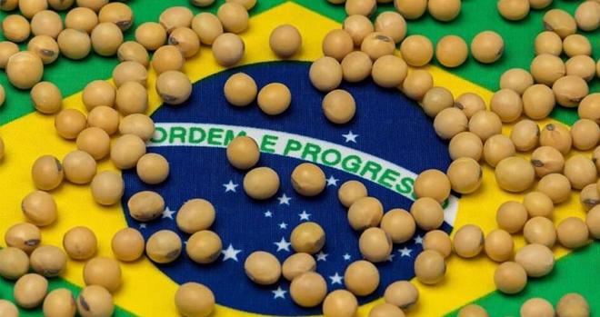 为大豆放低身段美国公开表示：若中国需要大豆希望先找美国(图16)