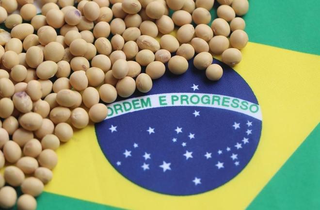 为大豆放低身段美国公开表示：若中国需要大豆希望先找美国(图20)