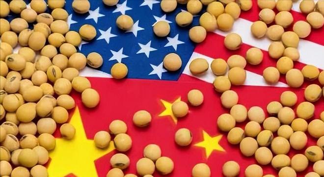 为大豆放低身段美国公开表示：若中国需要大豆希望先找美国(图15)