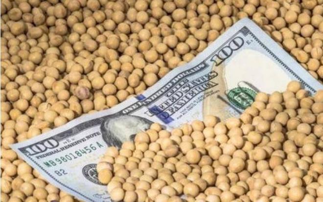 为大豆放低身段美国公开表示：若中国需要大豆希望先找美国(图14)