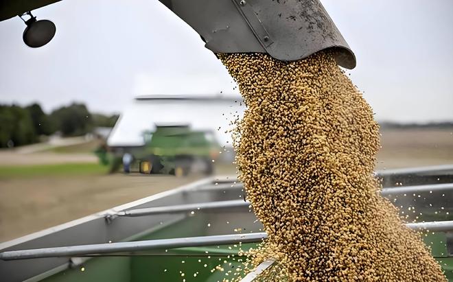 为大豆放低身段美国公开表示：若中国需要大豆希望先找美国(图17)