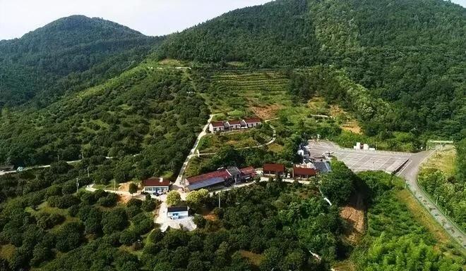 南京溧水｜石湫芊芊杨梅园又忙起来了！(图1)