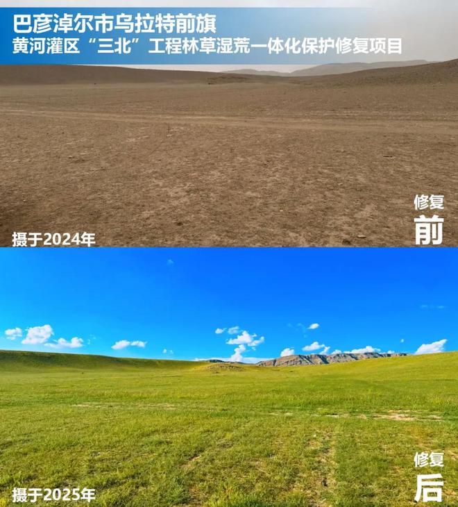 蒙草生态创新服务保障体系助力黄河“几字弯”攻坚提质增效(图4)