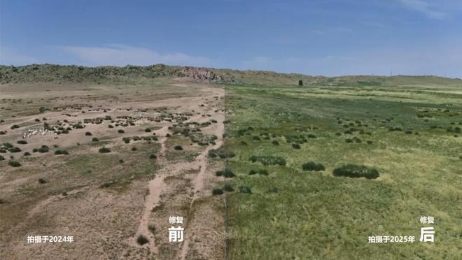 蒙草生态创新服务保障体系助力黄河“几字弯”攻坚提质增效(图3)