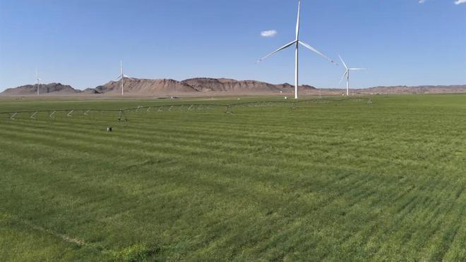 蒙草生态创新服务保障体系助力黄河“几字弯”攻坚提质增效(图2)