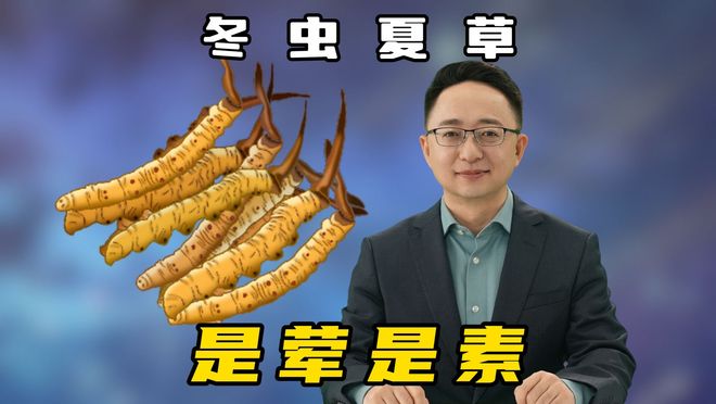 冬虫夏草是荤是素？小草名字背后的木乃伊故事(图1)