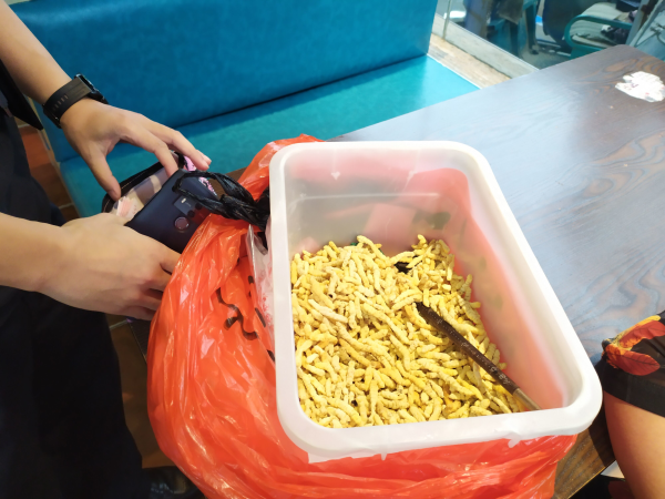 这伙人专门在医院和农贸市场门口骗老年人br20元一斤的白虫草他们说是冬虫夏草卖500元一斤(图1)