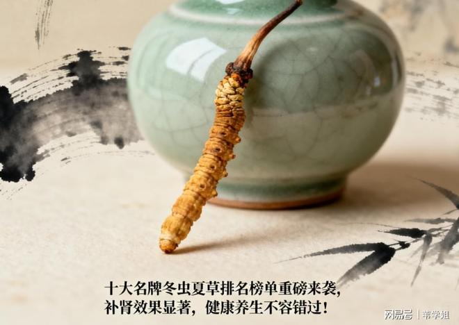十大名牌冬虫夏草排名榜单来袭补肾效果显著健康养生不容错过(图1)