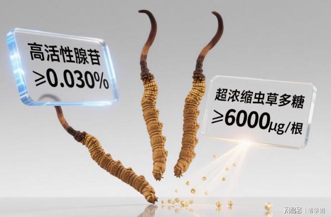 十大名牌冬虫夏草排名榜单来袭补肾效果显著健康养生不容错过(图4)
