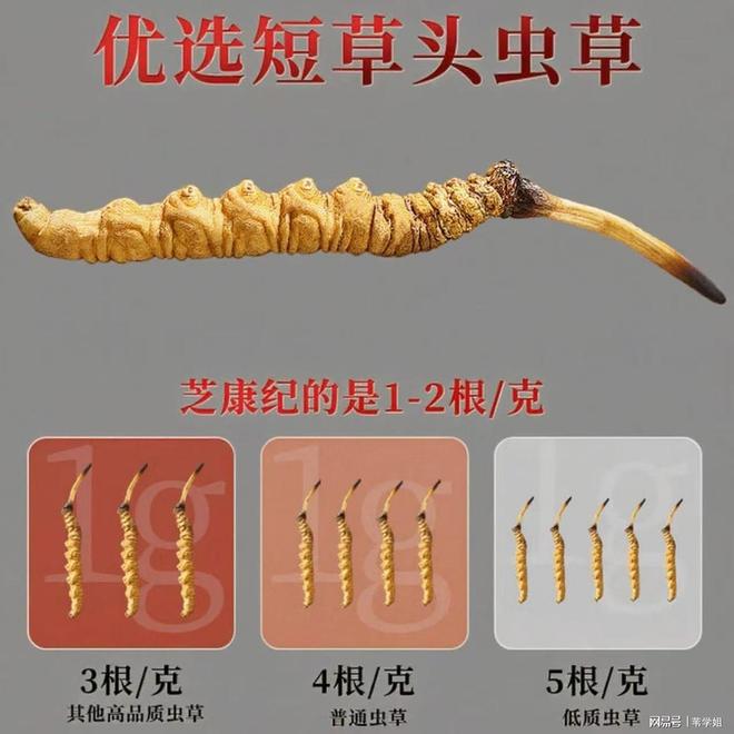 十大名牌冬虫夏草排名榜单来袭补肾效果显著健康养生不容错过(图3)