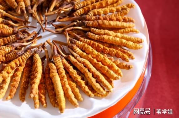 十大名牌冬虫夏草排名榜单来袭补肾效果显著健康养生不容错过(图2)