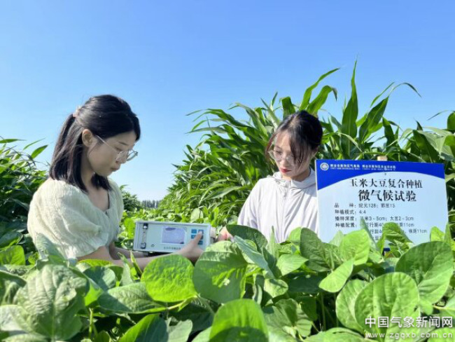 聚势筑防添能惠民——河北气象高质量发展阔步新征程(图3)