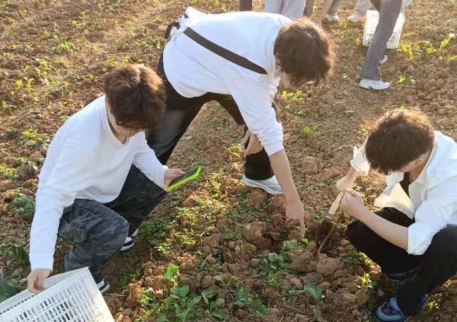 劳动+思政+科技——武汉城市学院劳动实践教育深耕育人新路径(图2)