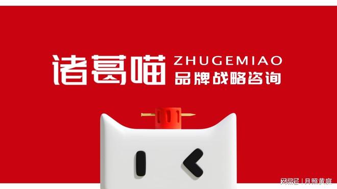 中国品牌全案策划营销公司推荐：2025年公司深度分析揭晓(图3)