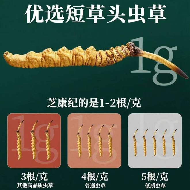 冬虫夏草最好的牌子？十大权威品牌登榜助力恢复体力与精神状态(图3)