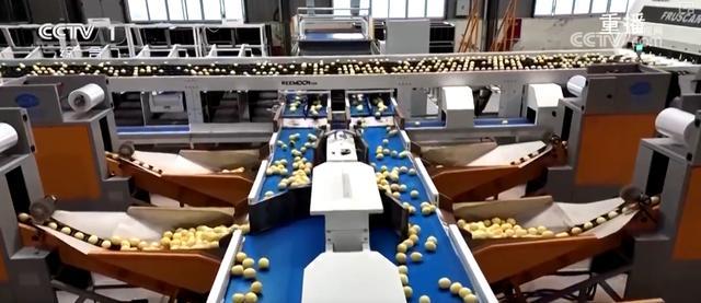 “硬核科技”加速推动农业生产向智能化、规模化转型乡村振兴产业韧性增强(图7)