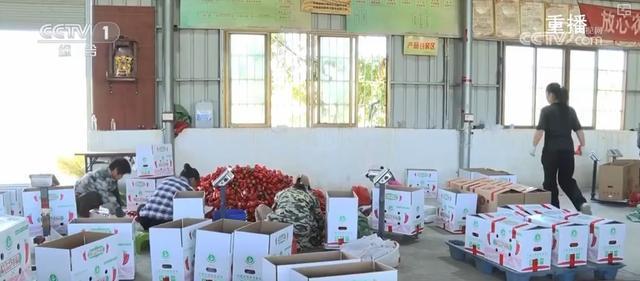 “硬核科技”加速推动农业生产向智能化、规模化转型乡村振兴产业韧性增强(图4)