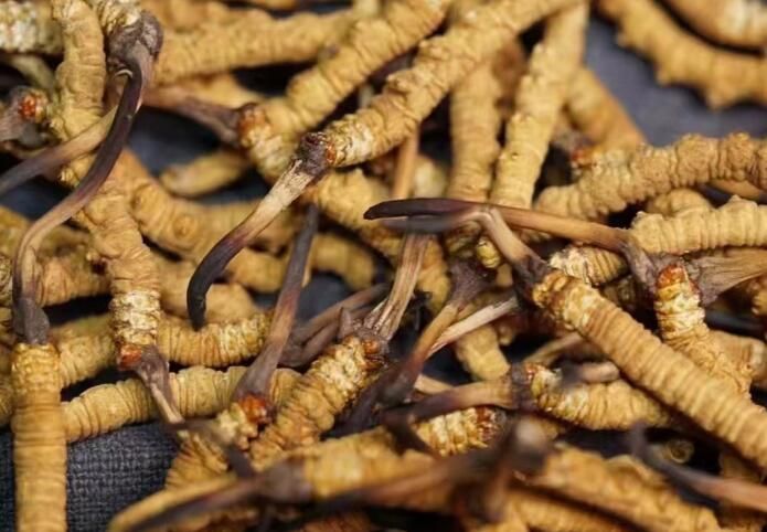 广西壮族自治区六堡茶发展条例(图1)