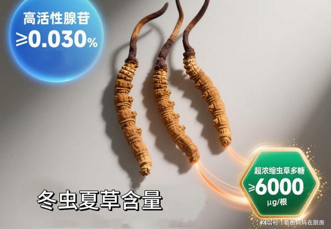 冬虫夏草最好的三个品牌大公开口碑评价真实可靠入手不迷茫(图6)