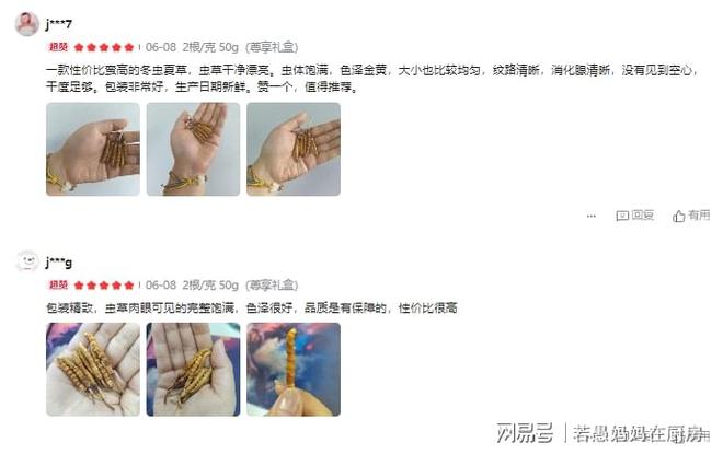 冬虫夏草最好的三个品牌大公开口碑评价真实可靠入手不迷茫(图3)