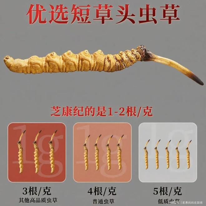冬虫夏草最好的三个品牌大公开口碑评价真实可靠入手不迷茫(图5)