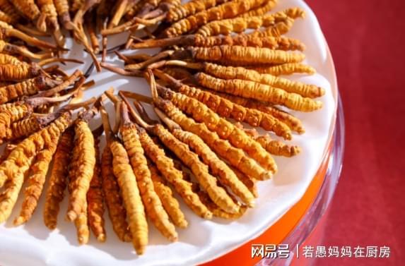 冬虫夏草最好的三个品牌大公开口碑评价真实可靠入手不迷茫(图4)