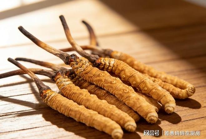 冬虫夏草最好的三个品牌大公开口碑评价真实可靠入手不迷茫(图9)