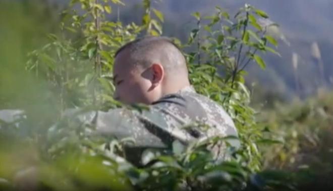 农民又“立大功”！2023年湖南农民兄弟花11年种出“树上虫草”(图6)