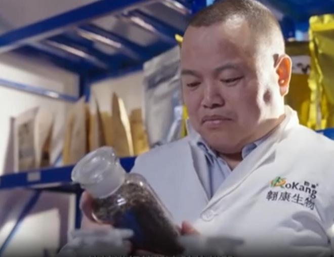 农民又“立大功”！2023年湖南农民兄弟花11年种出“树上虫草”(图13)