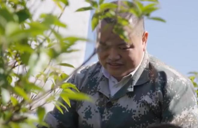 农民又“立大功”！2023年湖南农民兄弟花11年种出“树上虫草”(图10)