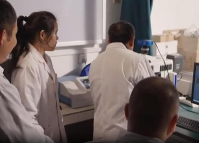 农民又“立大功”！2023年湖南农民兄弟花11年种出“树上虫草”(图4)