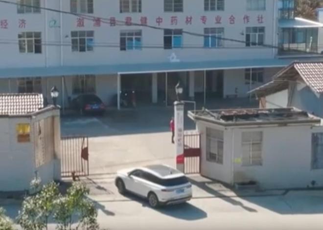 农民又“立大功”！2023年湖南农民兄弟花11年种出“树上虫草”(图9)