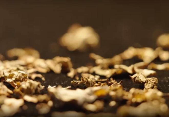 农民又“立大功”！2023年湖南农民兄弟花11年种出“树上虫草”(图16)