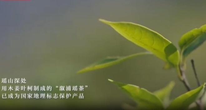 农民又“立大功”！2023年湖南农民兄弟花11年种出“树上虫草”(图18)